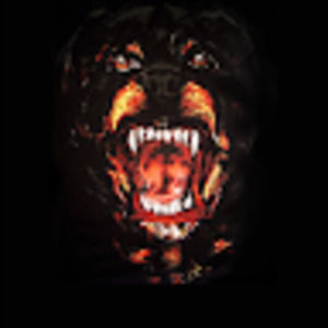 Meet your Posher, Adam